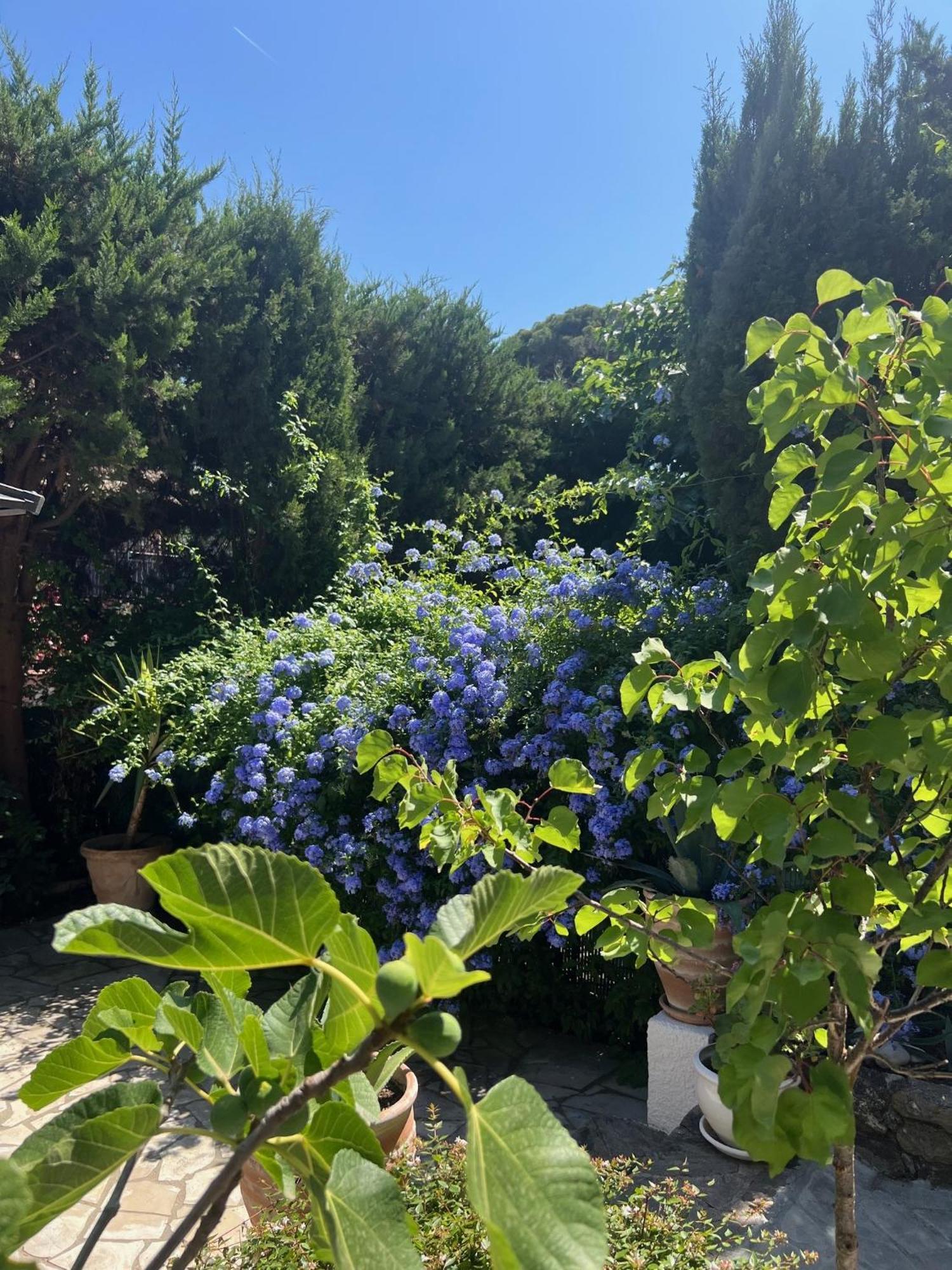 Superbe Appartement Avec Terrasse Jardin Et Parking Prive Saint Tropez Bagian luar foto